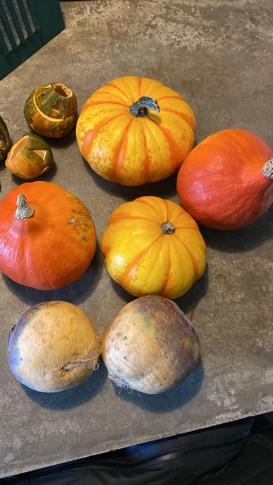 Pompoenen uit eigen tuin bij Heemhuys