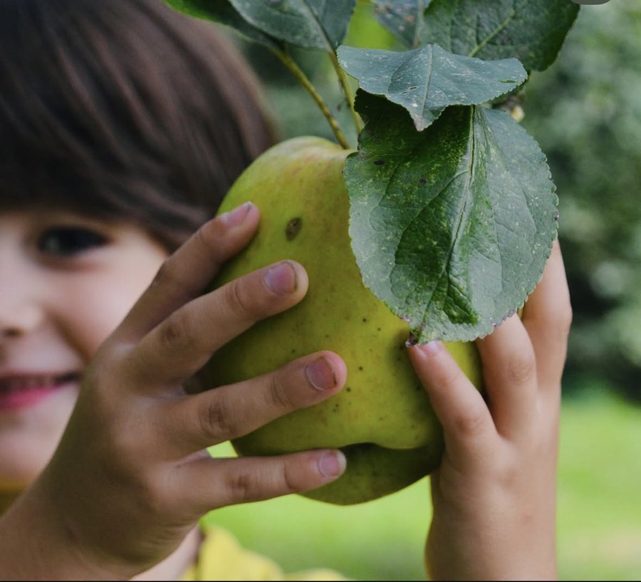Natuurlijke tuin bij Heemhuys