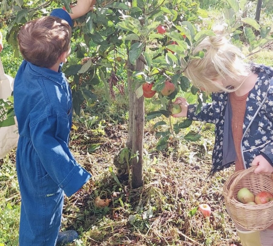 Muziek in de tuin bij Heemhuys